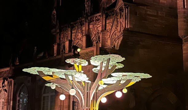 Không còn cây nhân tạo trên Place du Château. Lưu trữ hình ảnh Philippe Dossmann