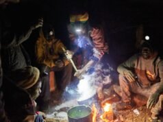 Giới tinh hoa chính trị bảo vệ những kẻ khai thác ma phá hoại trong cơn sốt vàng như thế nào