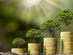 Đầu tư có trách nhiệm: làm thế nào để đầu tư 1.000 euro đồng thời kết hợp giữa lợi nhuận và tác động sinh thái?