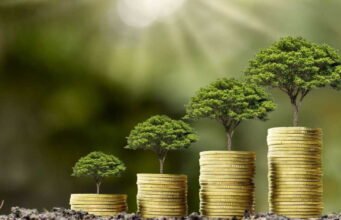 Đầu tư có trách nhiệm: làm thế nào để đầu tư 1.000 euro đồng thời kết hợp giữa lợi nhuận và tác động sinh thái?
