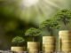 Đầu tư có trách nhiệm: làm thế nào để đầu tư 1.000 euro đồng thời kết hợp giữa lợi nhuận và tác động sinh thái?