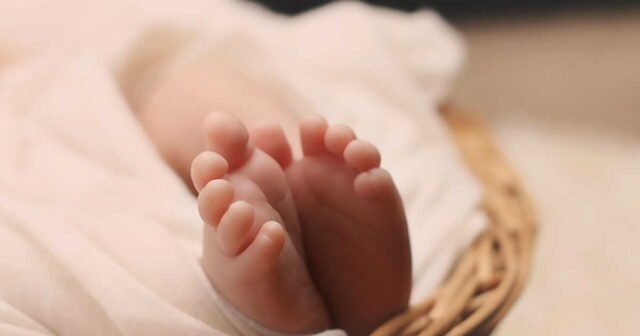 Nghỉ sinh: sắp đến ngày thông báo cho chủ lao