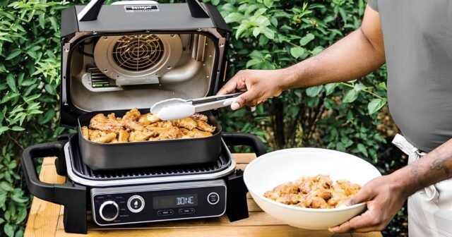 Món thịt nướng điện 7 trong 1 Ninja Woodfire này