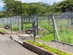 Ngân hàng bùng nổ bất động sản Chaka do nhu cầu của nhà đầu tư về phong cách đô thị