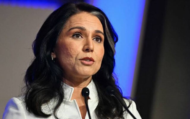Giám đốc tình báo Mỹ Tulsi Gabbard từ chức
