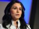 Giám đốc tình báo Mỹ Tulsi Gabbard từ chức