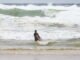 Gironde. Hai người tắm chết, bị dòng nước Baïnes cuốn trôi
