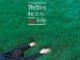 Mùa giải 2026/2027 của Théâtre de la Ville