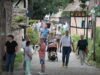 Alsace. Écomusée d’Alsace sẽ phát động lời kêu gọi quyên góp