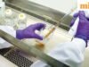Ấn Độ khuyến cáo không nên đi du lịch tới DRC, Uganda và Nam Sudan sau tình trạng khẩn cấp về Ebola