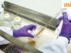 Ấn Độ tăng cường giám sát trong bối cảnh dịch Ebola toàn cầu bùng phát