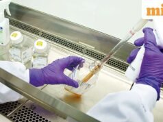 Ấn Độ tăng cường giám sát trong bối cảnh dịch Ebola toàn cầu bùng phát