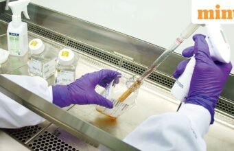 Ấn Độ tăng cường giám sát trong bối cảnh dịch Ebola toàn cầu bùng phát