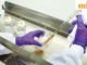 Ấn Độ tăng cường giám sát trong bối cảnh dịch Ebola toàn cầu bùng phát