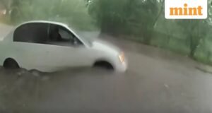 Cảnh sát Texas lao vào dòng nước lũ dữ dội để giải cứu em bé mắc kẹt trong ô tô | Đồng hồ