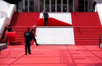 Cannes 2026: Cừu trong hộp, Quái vật dịu dàng, Vài lời yêu thương… Lựa chọn trong ngày của chúng tôi