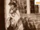 Câu nói trong ngày của Virginia Woolf: “Không cần vội vàng. Không cần tỏa sáng. Không cần là ai ngoài chính mình”