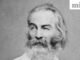 Câu nói trong ngày của Walt Whitman: “Hãy luôn hướng khuôn mặt của bạn về phía mặt trời – và bóng tối…. »