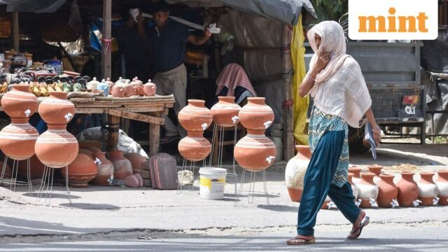 Delhi, UP, một số bang trong cảnh báo sóng nhiệt