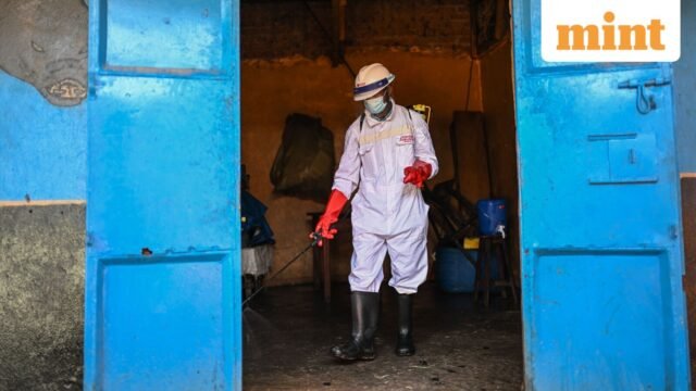 Dịch Ebola: 10 nước châu Phi nguy cơ; Mỹ mở
