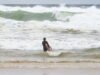 Gironde. Hai người tắm chết, bị dòng nước Baïnes cuốn trôi