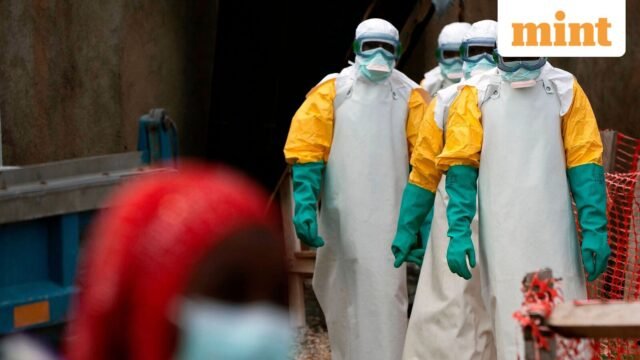 Những người có thẻ xanh đã đến Congo, Uganda và