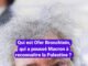 Ofer Bronchtein là ai, người đã thúc đẩy Macron công nhận Palestine?
