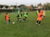 US Ham Football mở các buổi tập miễn phí chuẩn bị cho mùa giải 2026-2027