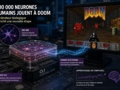 Tế bào thần kinh của con người được đào tạo để chơi Doom: Cortical Labs đẩy máy tính sinh học lên một tầm cao mới