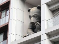 Bạn có biết không? Tại sao một con gấu lại nhìn ra một con phố đông đúc ở Strasbourg?