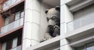 Bạn có biết không? Tại sao một con gấu lại nhìn ra một con phố đông đúc ở Strasbourg?