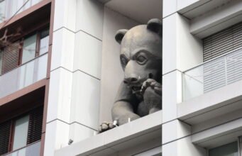 Bạn có biết không? Tại sao một con gấu lại nhìn ra một con phố đông đúc ở Strasbourg?