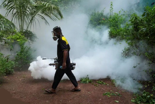 Du lịch Sri Lanka bị đe dọa bởi sốt xuất