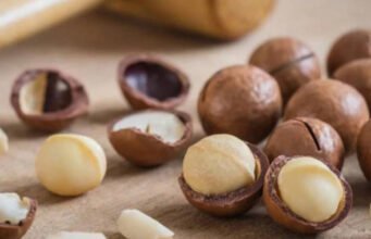 Người sản xuất Macadamia đối mặt hậu quả từ tiêu chuẩn xuất khẩu khắt khe hơn