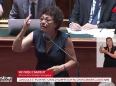 Monique Barbut thông báo 50% Quỹ Xanh sẽ được ưu tiên phân bổ cho “các cộng đồng nhỏ”