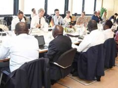 Kenya, Đức đạt thỏa thuận mở rộng tưới tiêu cho hộ nông dân nhỏ