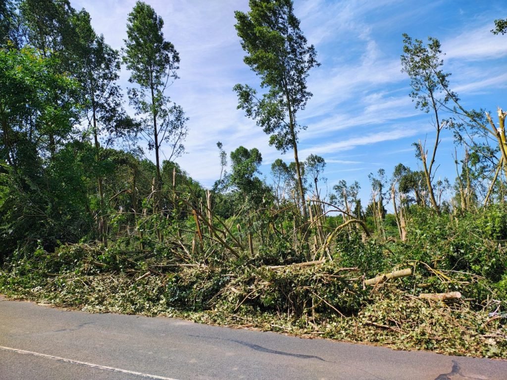 Bên phía Nesle, thôn Bis-Pont chứng kiến ​​nhiều cây đổ.
