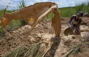 Trẻ em Malian là tâm điểm của cơn sốt vàng