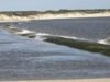 59 người bị mắc kẹt do thủy triều ở Berck-sur-Mer