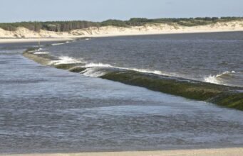 59 người bị mắc kẹt do thủy triều ở Berck-sur-Mer