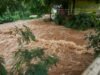 Bài học Châu Phi có thể học từ Brazil để trở nên kiên cường hơn trước thảm họa khí hậu