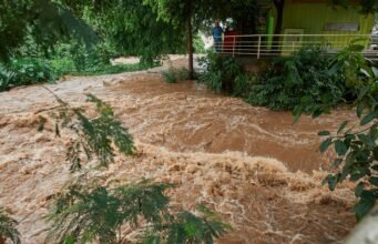 Bài học Châu Phi có thể học từ Brazil để trở nên kiên cường hơn trước thảm họa khí hậu