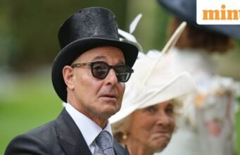 Câu nói trong ngày của Stanley Tucci: “Bạn càng biết nhiều, bạn càng có thể sáng tạo”