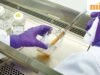 Công dân Sudan thứ hai nhập viện ở Hyderabad cũng có kết quả xét nghiệm âm tính với Ebola