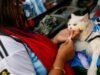 Cúp thế giới 2026. Tặng quà Trump, mèo mang màu sắc Argentina, biểu tình… Những hình ảnh không thể bỏ qua ngày thứ sáu