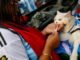Cúp thế giới 2026. Tặng quà Trump, mèo mang màu sắc Argentina, biểu tình… Những hình ảnh không thể bỏ qua ngày thứ sáu