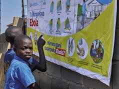 Hantavirus, Ebola… Làm thế nào mà bệnh lây truyền từ động vật sang người lại trở thành một trong những thách thức sức khỏe lớn nhất thế kỷ