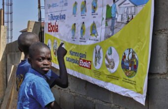 Hantavirus, Ebola… Làm thế nào mà bệnh lây truyền từ động vật sang người lại trở thành một trong những thách thức sức khỏe lớn nhất thế kỷ