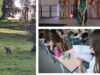 Hình ảnh. Kịch tính trên đường ở Granges-Aumontzey, Bac và thử thách mới dành cho Hoa hậu Vosges…những hình ảnh đánh dấu tuần