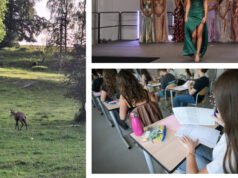 Hình ảnh. Kịch tính trên đường ở Granges-Aumontzey, Bac và thử thách mới dành cho Hoa hậu Vosges…những hình ảnh đánh dấu tuần